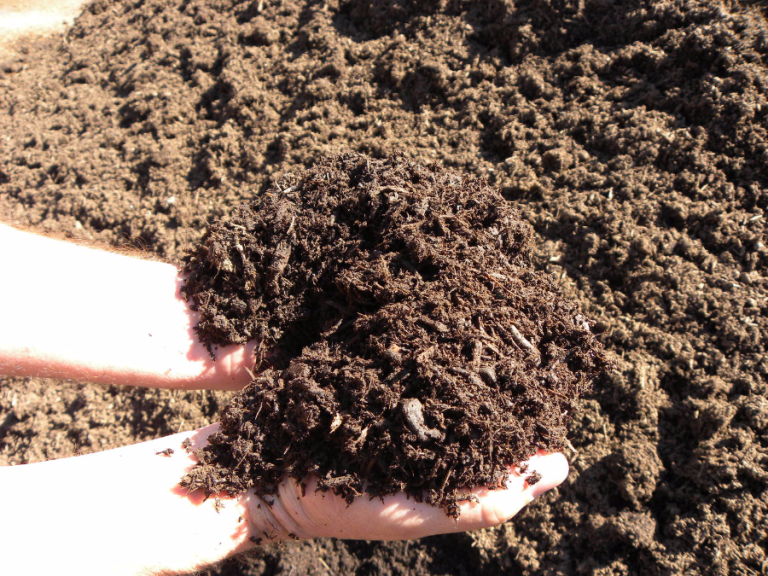 Dark Pine Mulch in Framingham, MA CV's Bark Mulch